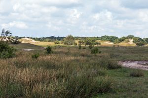 zeepeduinen-florian-van-hunnik